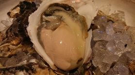 期間限定　　岩牡蠣
