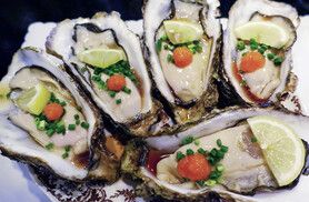 殻付牡蠣(生)コース