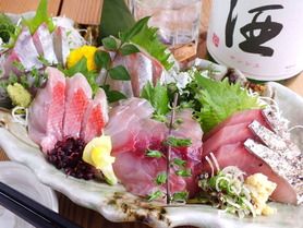 本日のおまかせ特選刺身盛　