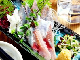 イワシのお刺身