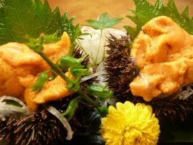 【北海道】殻付きウニ刺身