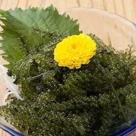 沖縄産　海ぶどう