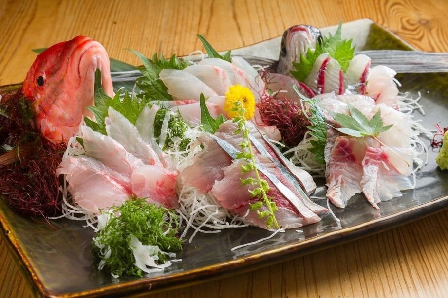 高知県　直送鮮魚　特選刺身5品盛合せ