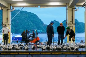 【料理長お任せ】旬彩旬魚　11000円コース　（接待/歓迎会にお勧め） 