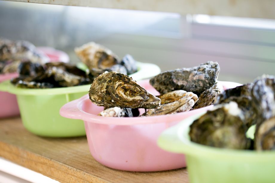 焼かき食べ放題　60分（大人2800円　　　　　　小学生700円）