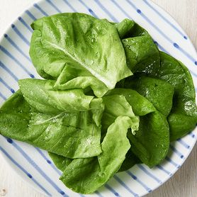 さっぱり塩サラダ