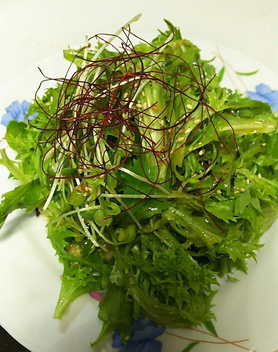 チョレギサラダ