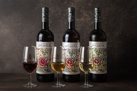 シェリー3種飲み比べ