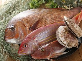 【2時間飲み放題付】スタンダードプラン