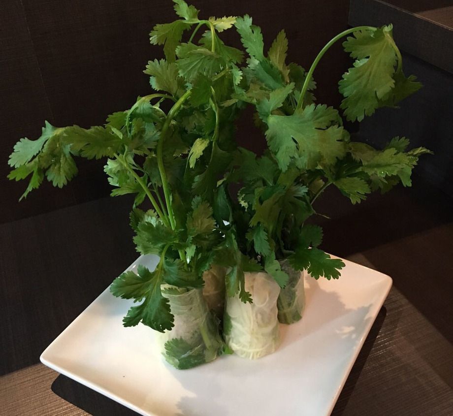 メガパクチー生春巻き（800）