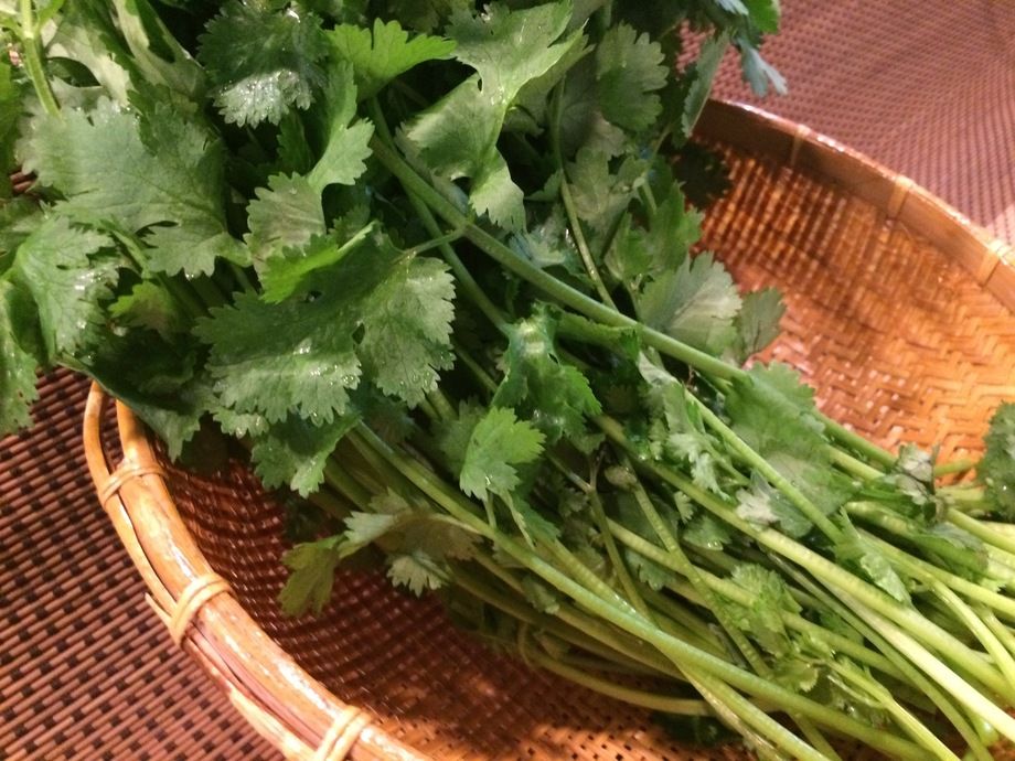 ざる盛りパクチー（380）