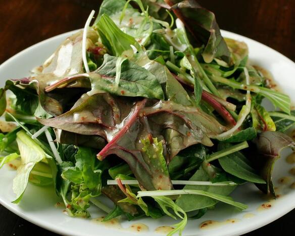 グリーンサラダ