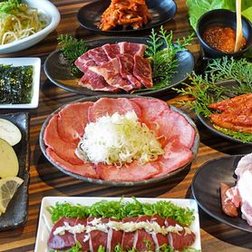 蒲田ホルモン劇場人気の特選コース（全12品・飲放題付）