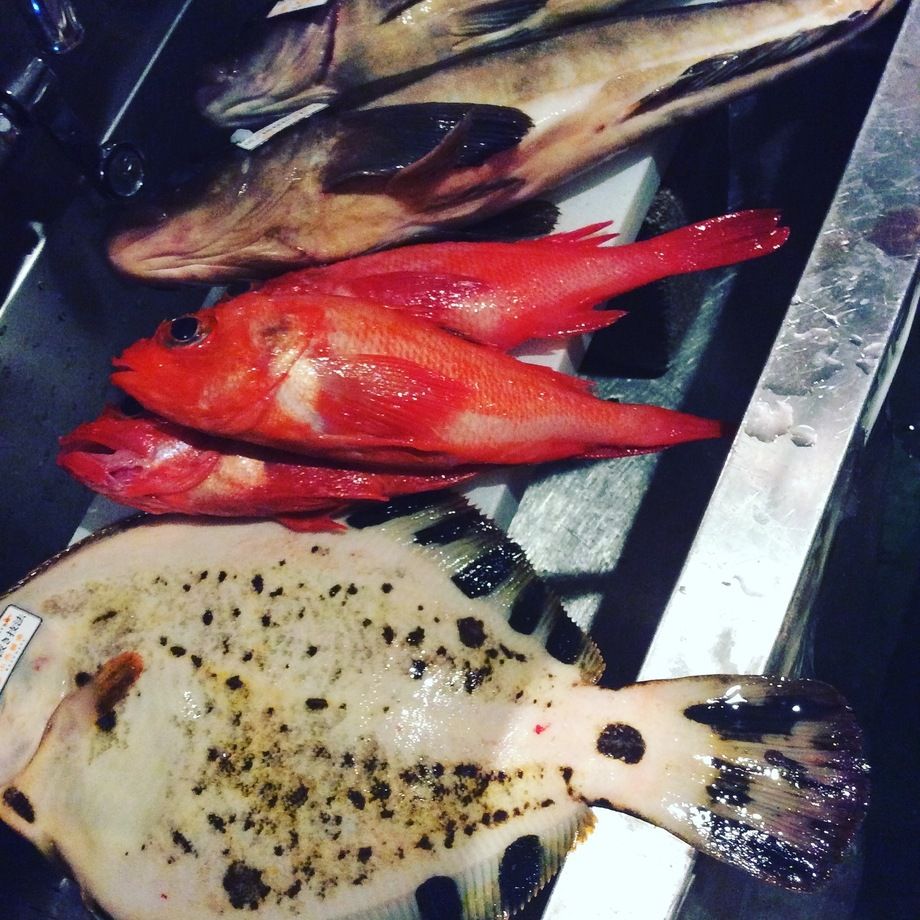 函館直送のお魚にこだわりました
