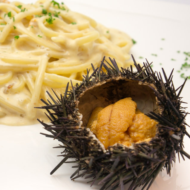 うにのクリームパスタ
