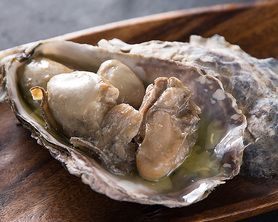 牡蠣のオイル漬け