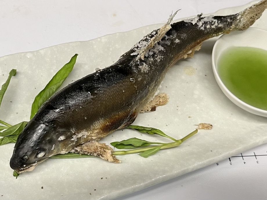 和歌山産　鮎の塩焼き