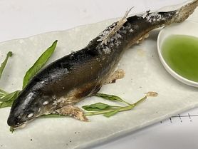 和歌山産　鮎の塩焼き