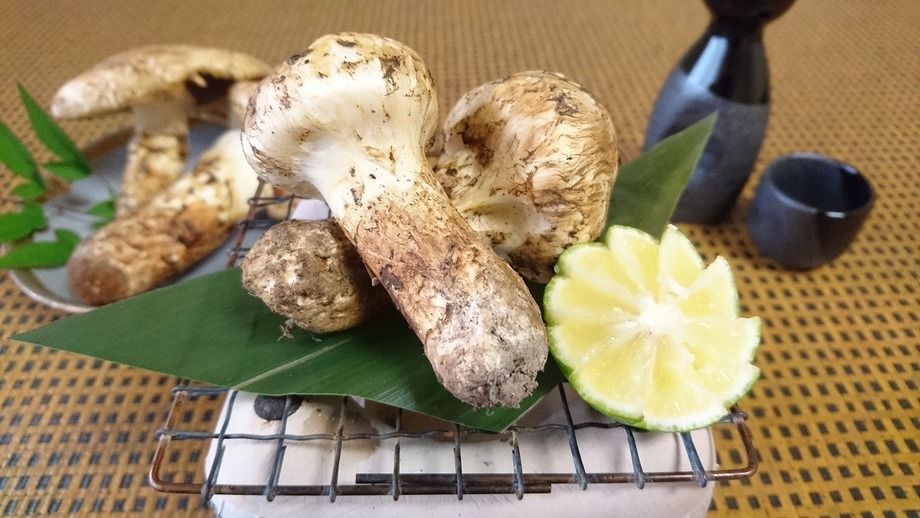 焼き松茸（1,780円）