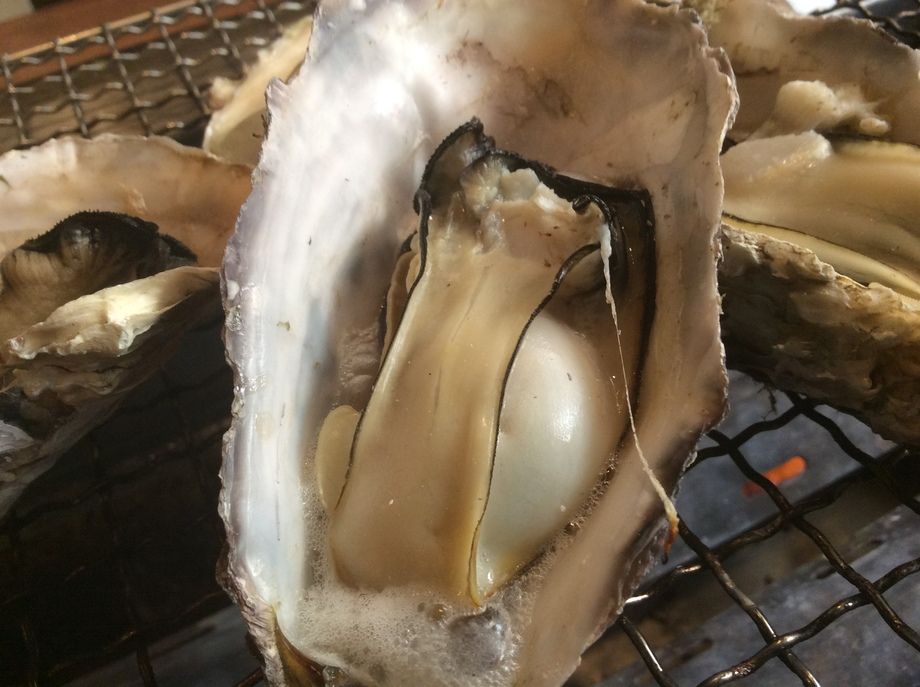 今 旬の焼きがき