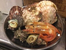 ちょこっとお得な！貝盛り3点セット