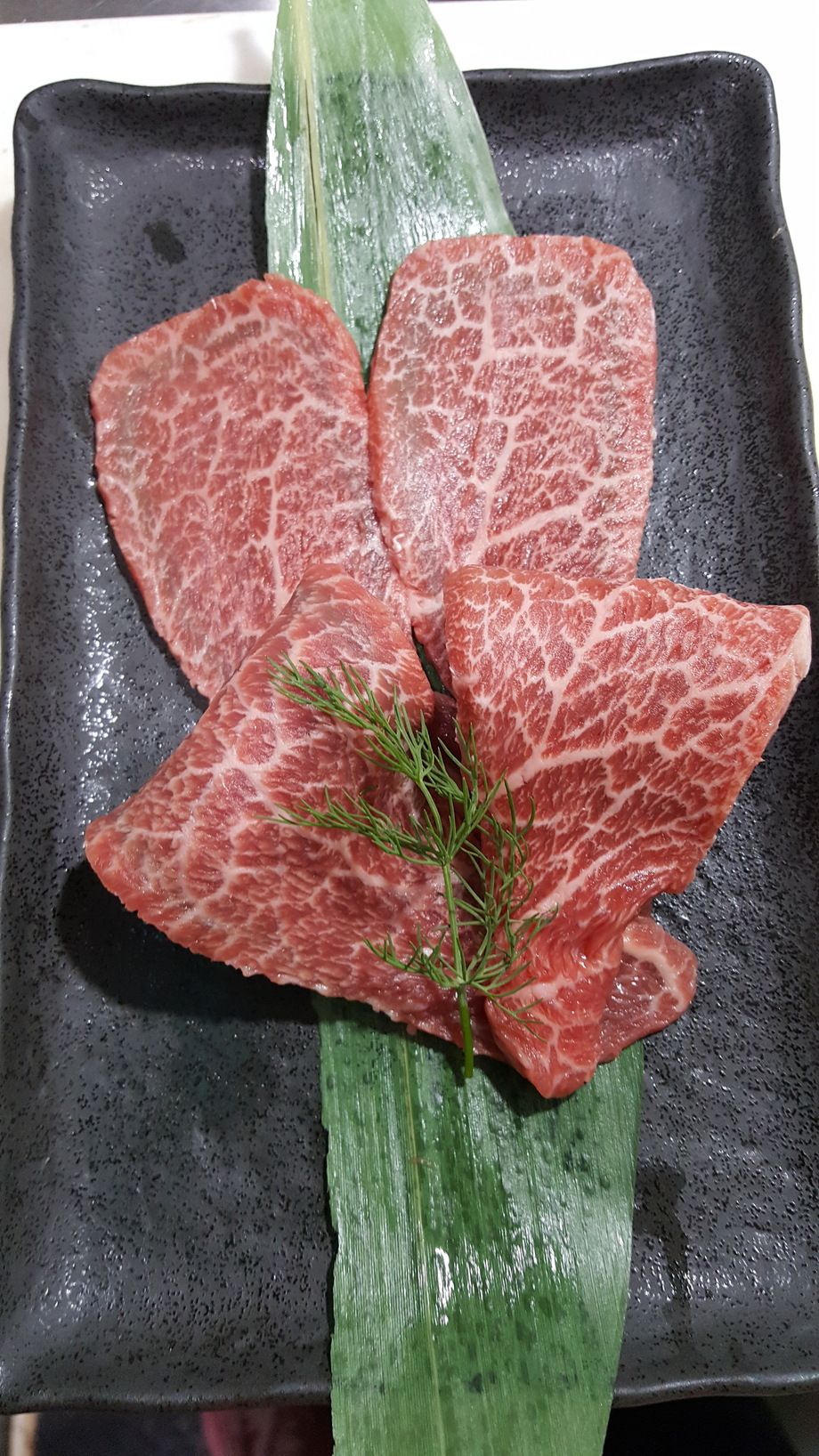 トウカラシ（240）