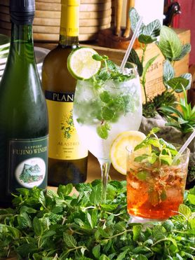 爽やかミントが香る生モヒート