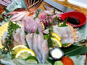 大人気【厳選食材】【飲み放題付】朝採れの豪華な刺盛りがコースで食べれちゃう♪／魚椿(うおつばき)コース