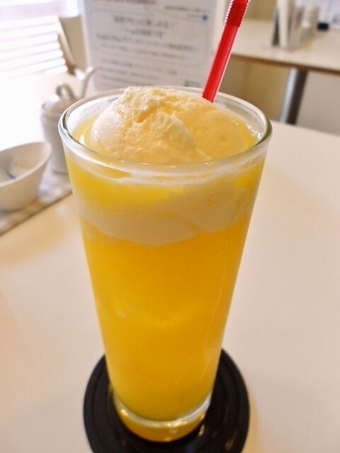 オレンジフロート（500）