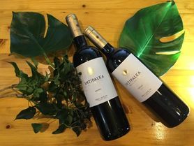 インティパルカ（ペルーワイン）INTIPALKA