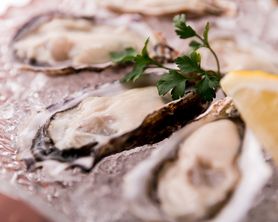 Fresh Oyster ～生ガキ～