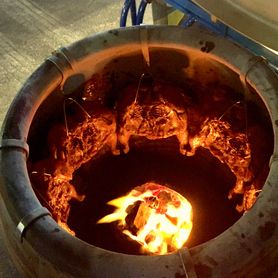 【タイ焼鳥(ガイヤーン)】