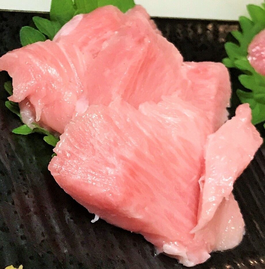 本マグロカマトロ刺身