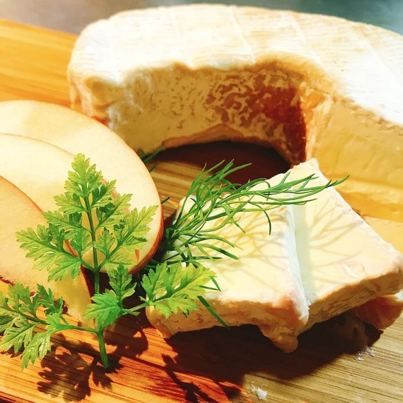 オススメチーズ