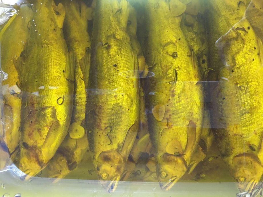 魚料理（ ￥1000前後）