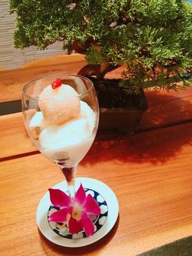 杏仁豆腐on生姜シャーベット