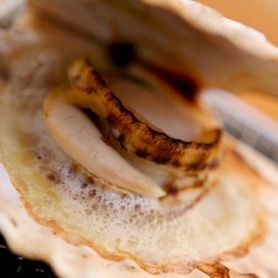  【夏・夏の宴会大改革コース】一度やりたかった夏宴会がここに・・・2.5時間飲み放題付き★