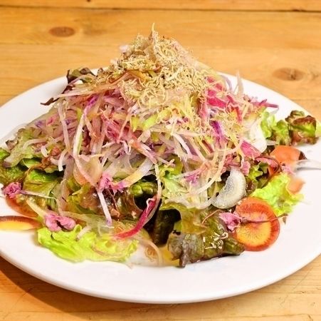 真狩産カラフル大根とジャコのサラダ