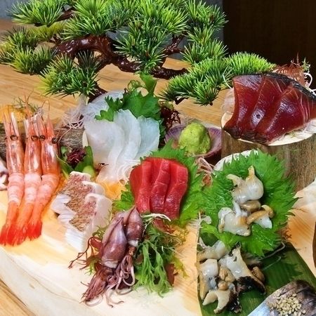 夏の鮮魚満足コース 【１２０分飲放付】全8品！クーポンご利用で4500円→4000円