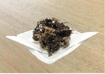 モズクの天ぷら