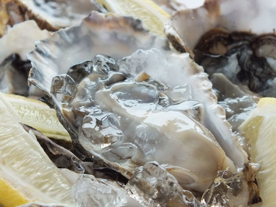 厚岸産生牡蠣