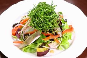 エヴォルツィオーネ特製　10種野菜のサラダ