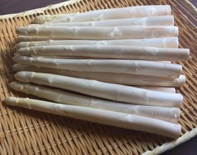 ホワイトアスパラガス