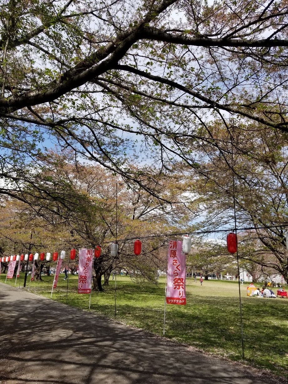 宇都宮やきそば会について