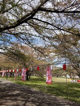 宇都宮やきそば会について