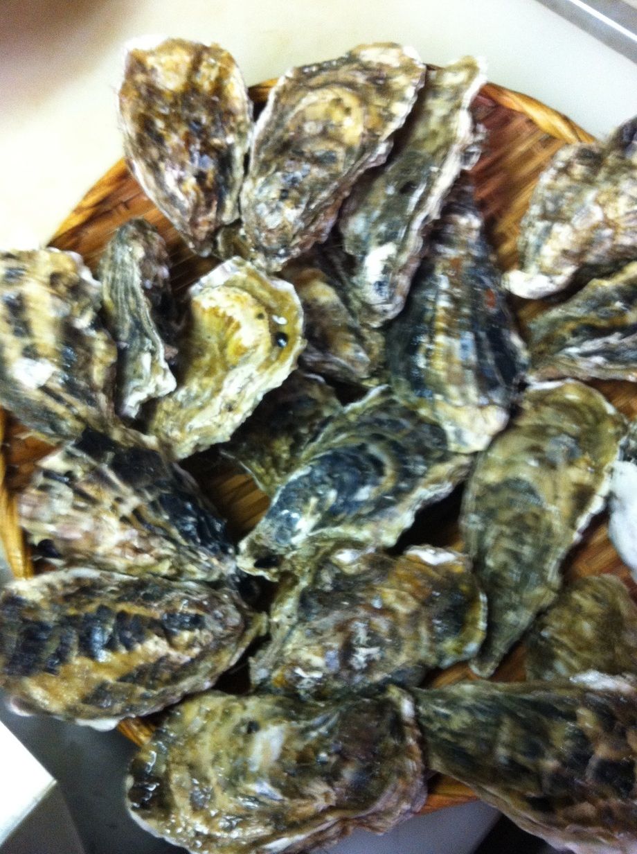 殻付き 生牡蠣 （2個）（580〜）