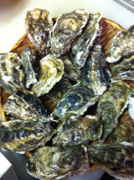 殻付き 生牡蠣 （2個）