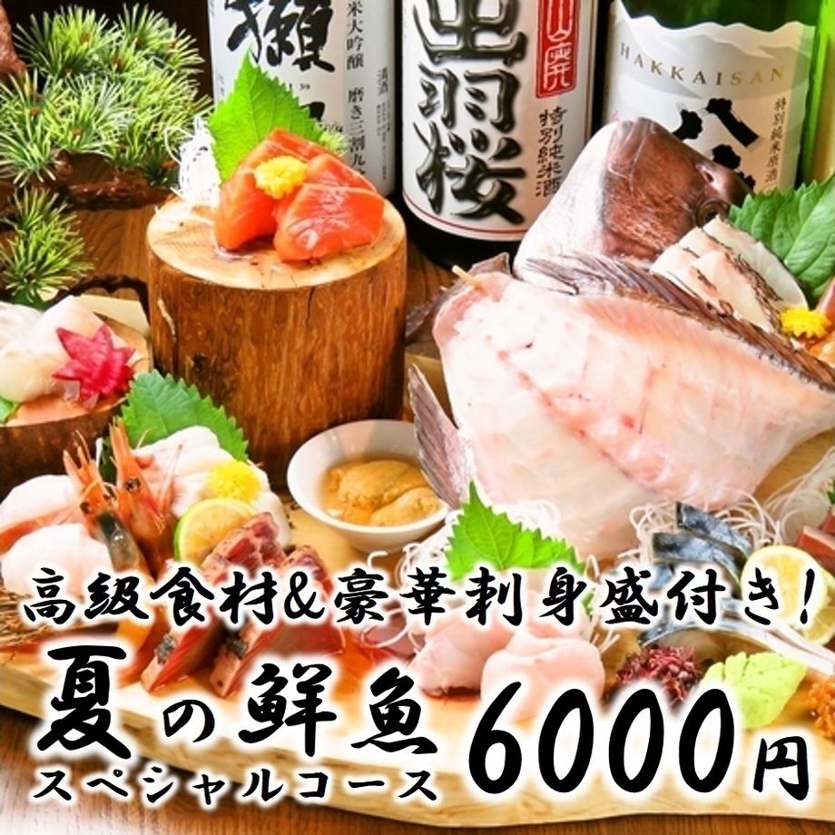 夏の鮮魚スペシャルコース 【120分飲み放題付】全11品！クーポンご利用で6500円→6000円