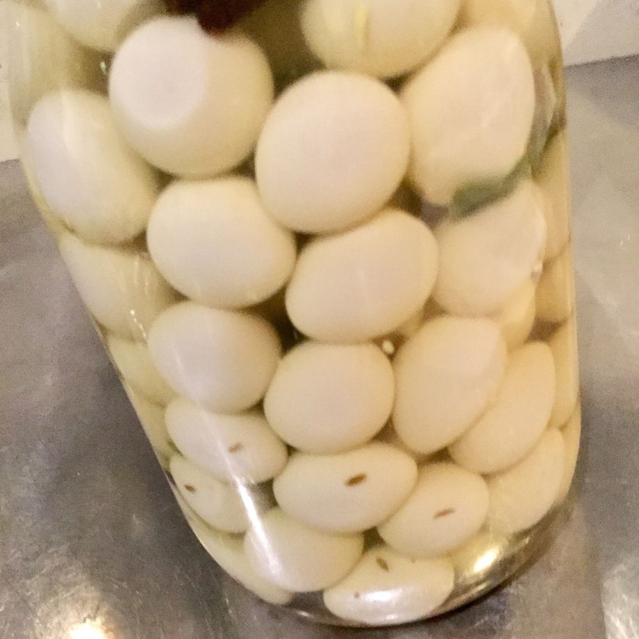 うずら玉子のピクルス（480）