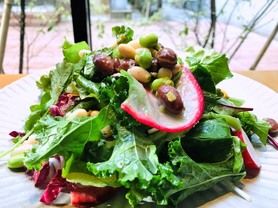 野菜を摂ろう！15品目野菜サラダ